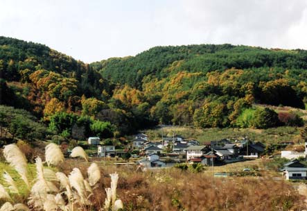 手前にススキが見え、奥の山の木々が黄色やオレンジに紅葉し始めている里山の秋の様子を写した写真