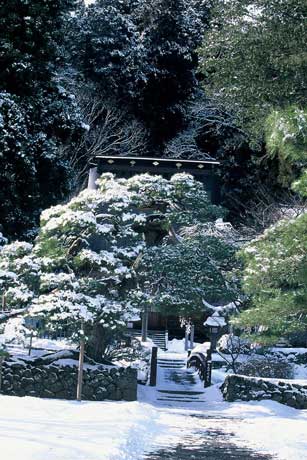 地面や木々が雪で覆われ真っ白になっている写真