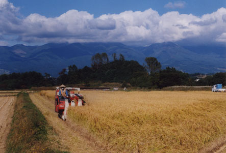 笠を被った農家の方がコンバインに乗って稲刈りをしている写真