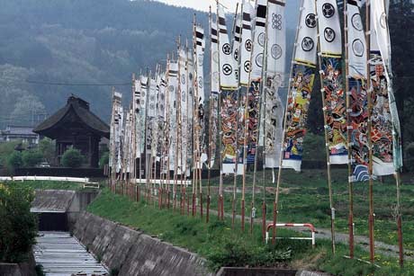 奥に仁王門が見える水路の横に沢山の武者のぼりが立っている写真