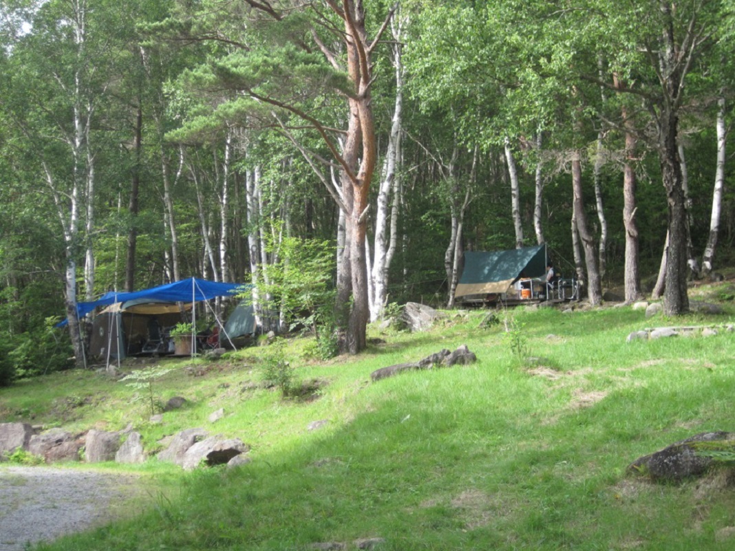緑の木々に囲まれた場所にテントが張られているキャンプ場の写真