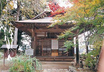 赤や黄色に紅葉で色づいている木々の奥に見える、古い木造の金寺妙見堂の外観写真