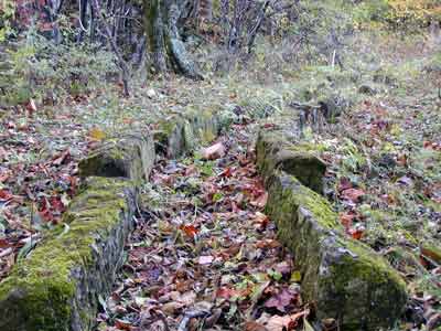 落ち葉や草の生えた山の中に遠くまで伸びている石樋の写真
